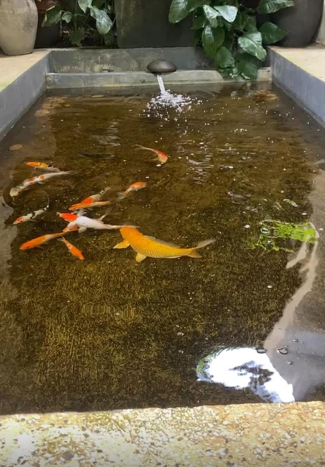 ヴィラ プルナマサリ ウブド エクステリア 写真